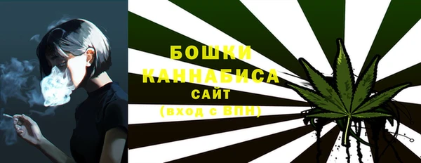 амф Осташков
