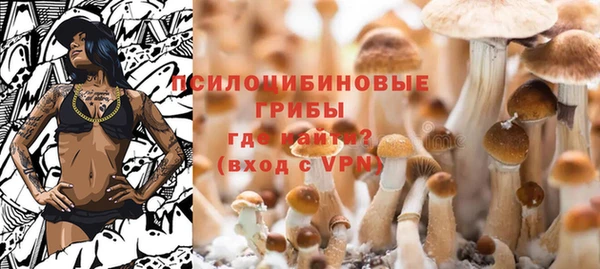 амф Осташков