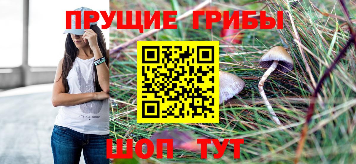 Галлюциногенные грибы Psilocybine cubensis  Верхняя Салда  Галлюциногенные грибы MAGIC MUSHROOMS 