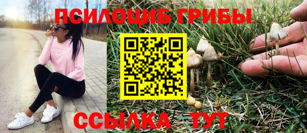 Верхняя Салда  Псилоцибиновые грибы Cubensis  Вход с VPN 
