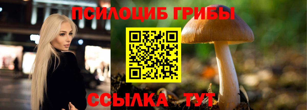 Псилоцибиновые грибы Magic Shrooms Верхняя Салда