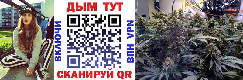 Шишки марихуана AK-47 где найти наркотики Верхняя Салда
